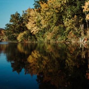 Meet your Posher, Anne